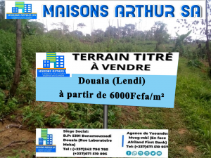 Terrain à vendre à Douala lieu dit Lendi le m² à partir de 6000fcfa 